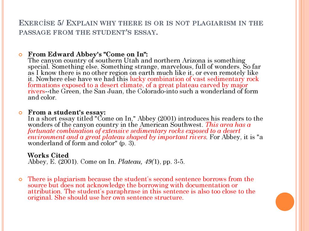 Plagiarism short essay